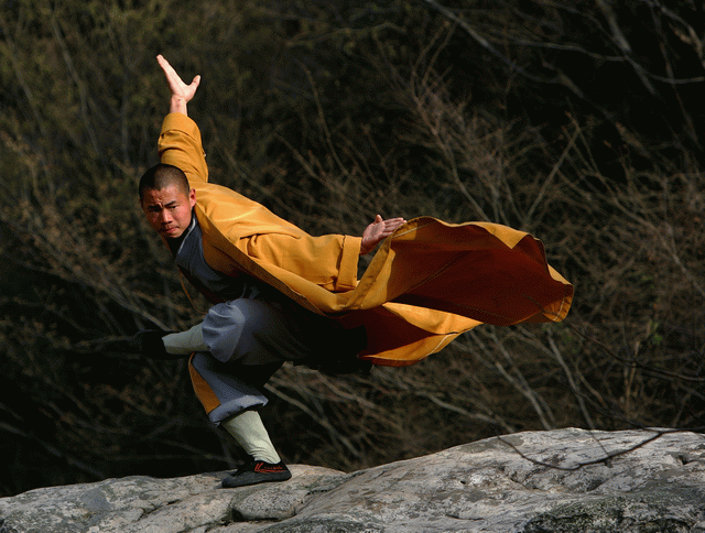Wushu / Kampfkunst